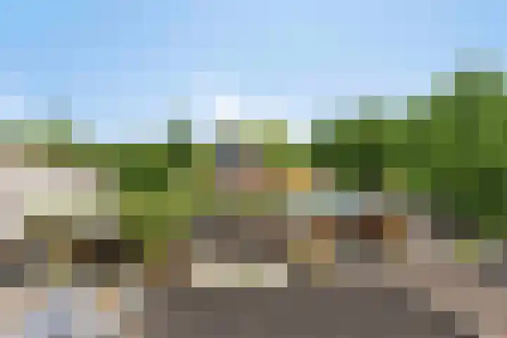 Zwanebloem 27 Zwaag thumbnail 27