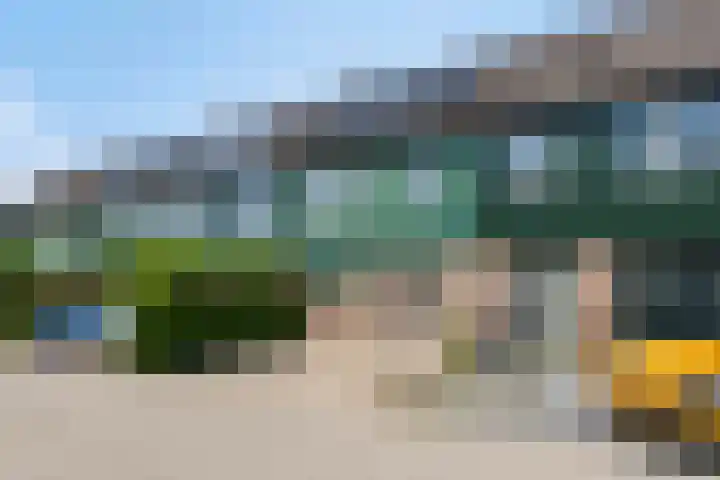 Zwanebloem 27 Zwaag thumbnail 30