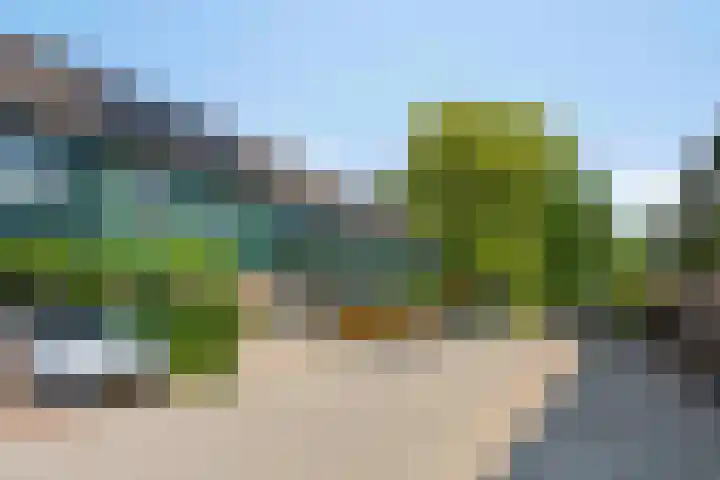 Zwanebloem 27 Zwaag thumbnail 31