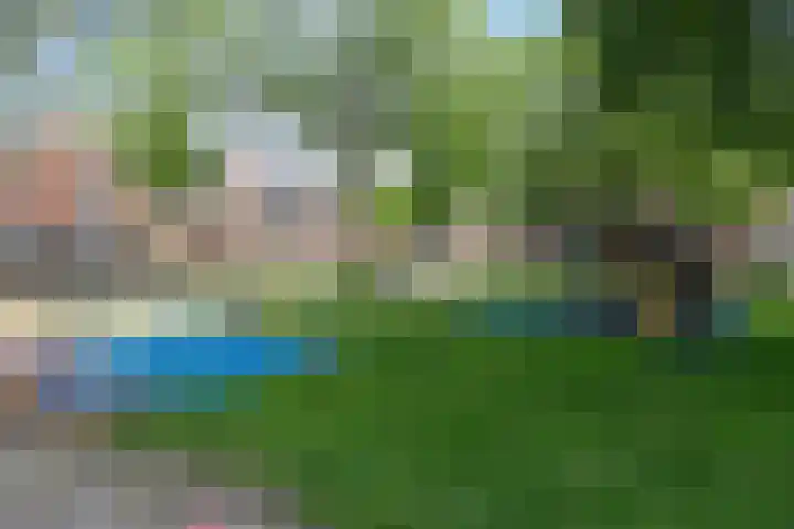 Zwanebloem 27 Zwaag thumbnail 32