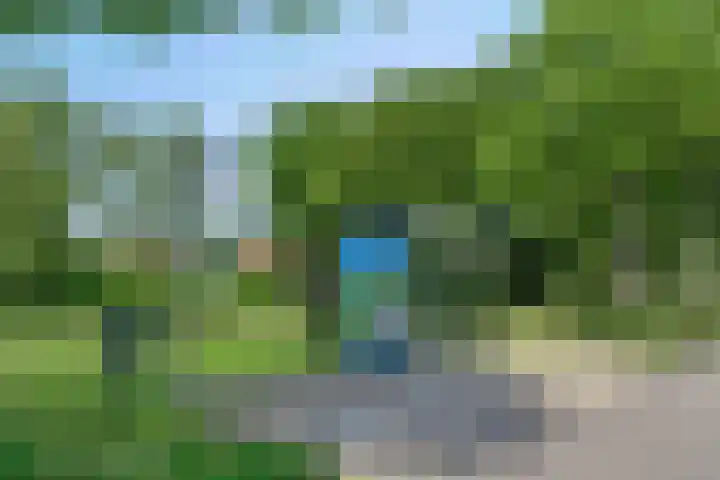 Zwanebloem 27 Zwaag thumbnail 34