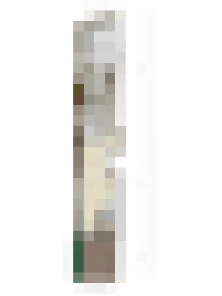 Zwanebloem 27 Zwaag thumbnail 39