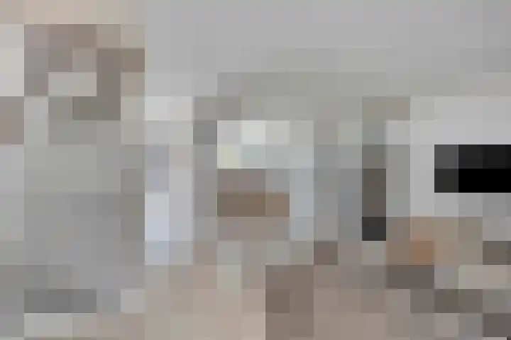 Zwanebloem 27 Zwaag thumbnail 4
