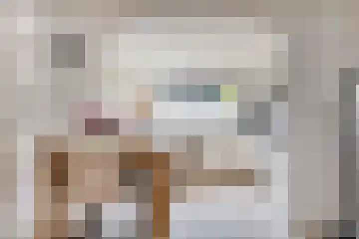 Zwanebloem 27 Zwaag thumbnail 5