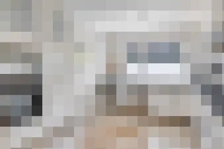 Zwanebloem 27 Zwaag thumbnail 7