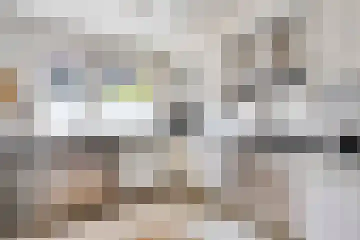 Zwanebloem 27 Zwaag thumbnail 8