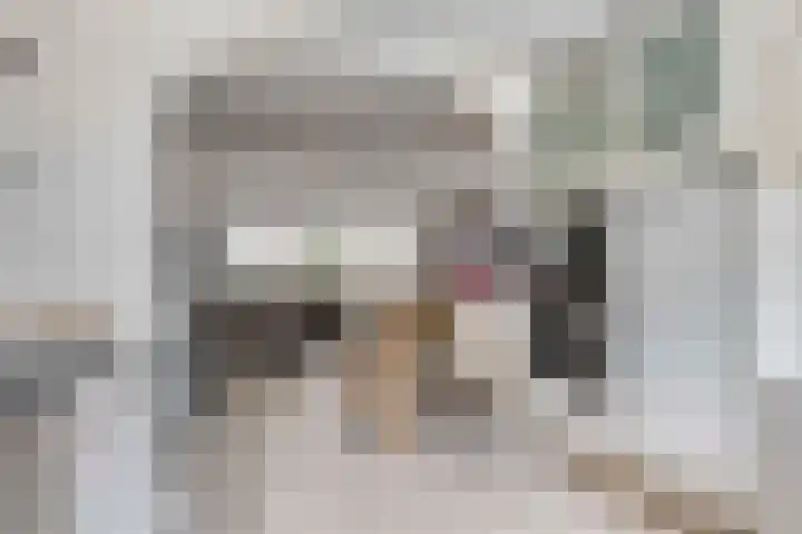 Zwanebloem 27 Zwaag thumbnail 9