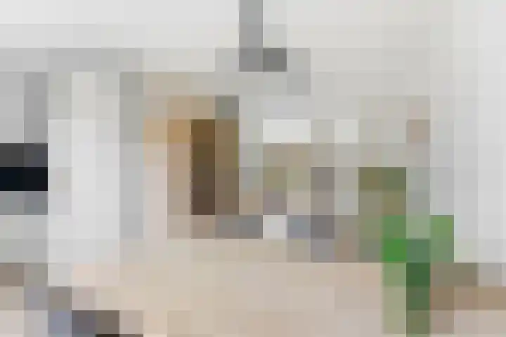 Zwanebloem 29 Alblasserdam thumbnail 11