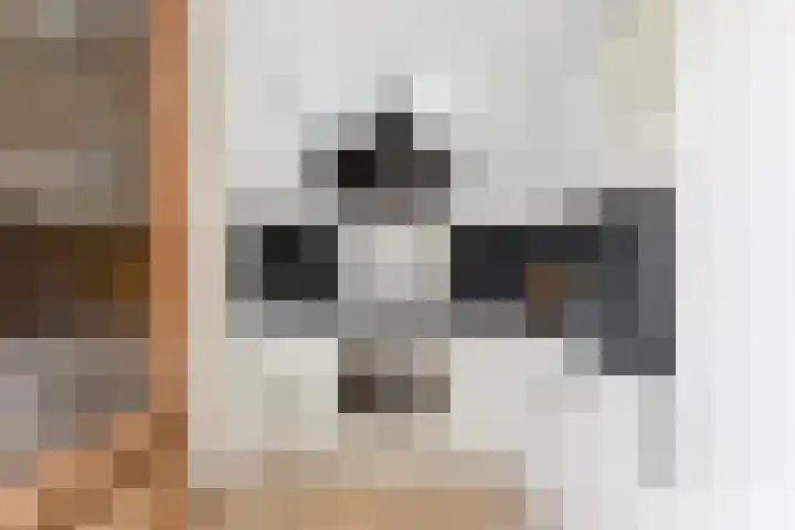 Zwanebloem 29 Alblasserdam thumbnail 12