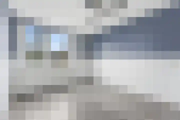 Zwanebloem 29 Alblasserdam thumbnail 21