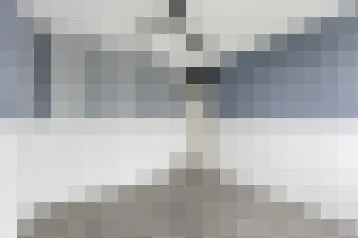 Zwanebloem 29 Alblasserdam thumbnail 22