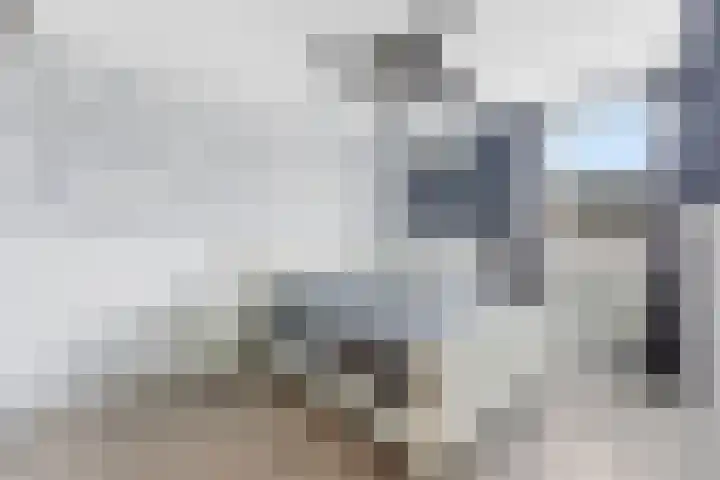 Zwanebloem 29 Alblasserdam thumbnail 23