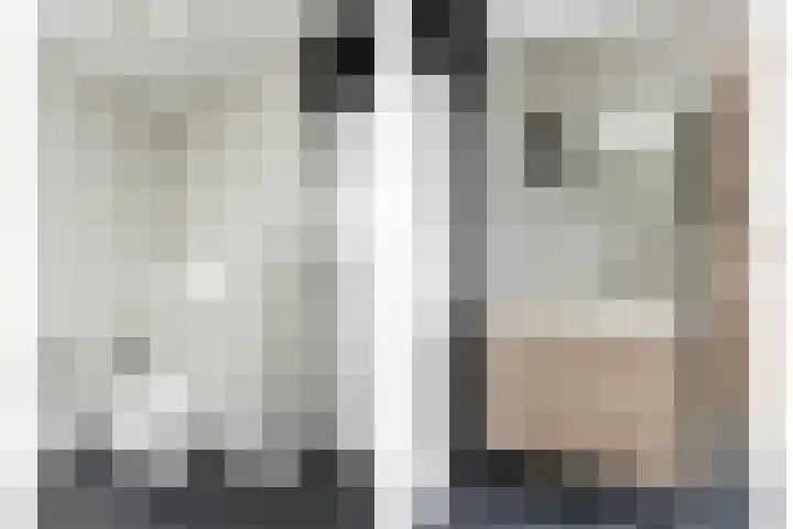 Zwanebloem 29 Alblasserdam thumbnail 26