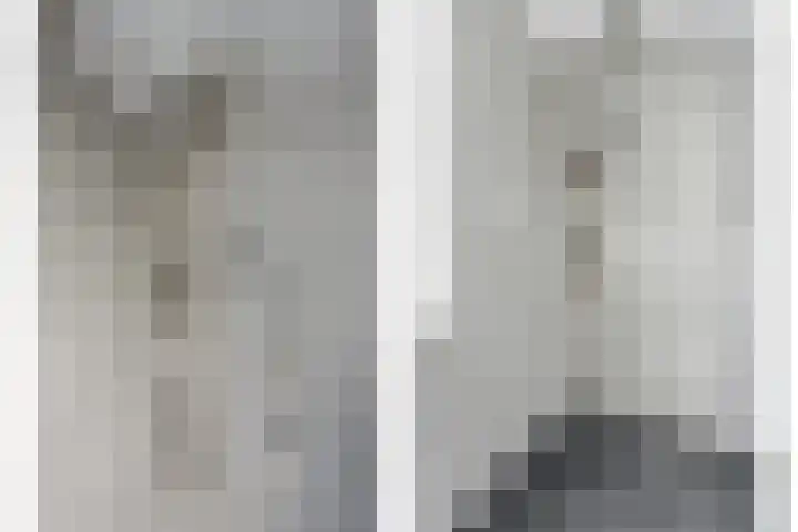 Zwanebloem 29 Alblasserdam thumbnail 27