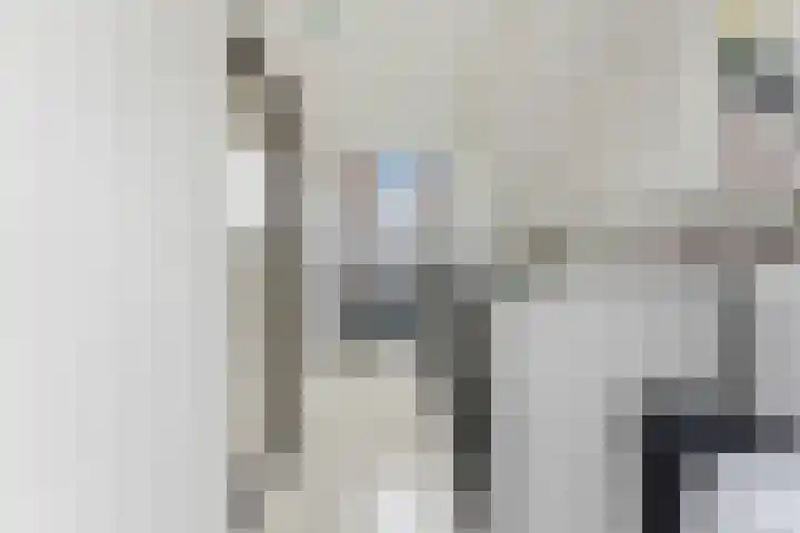 Zwanebloem 29 Alblasserdam thumbnail 29