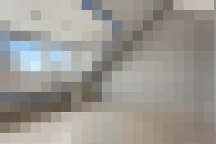 Zwanebloem 29 Alblasserdam thumbnail 31