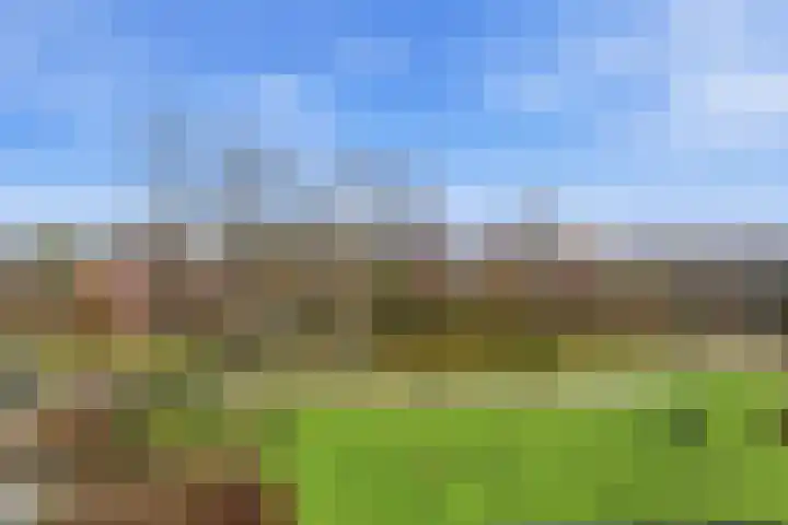 Zwanebloem 29 Alblasserdam thumbnail 33