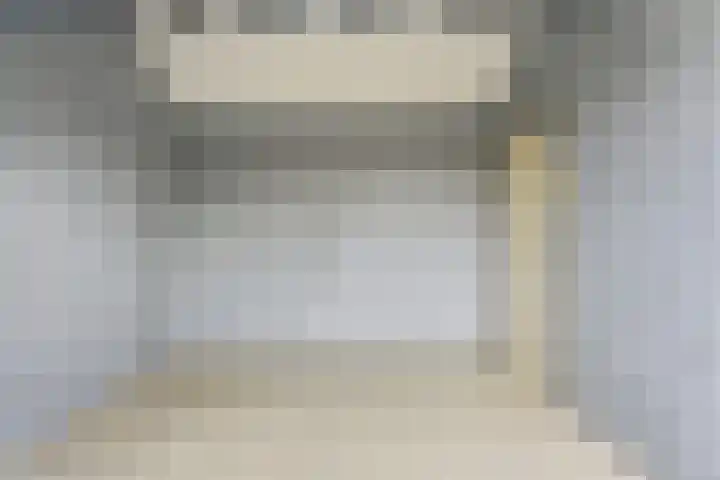 Zwanebloem 29 Alblasserdam thumbnail 34