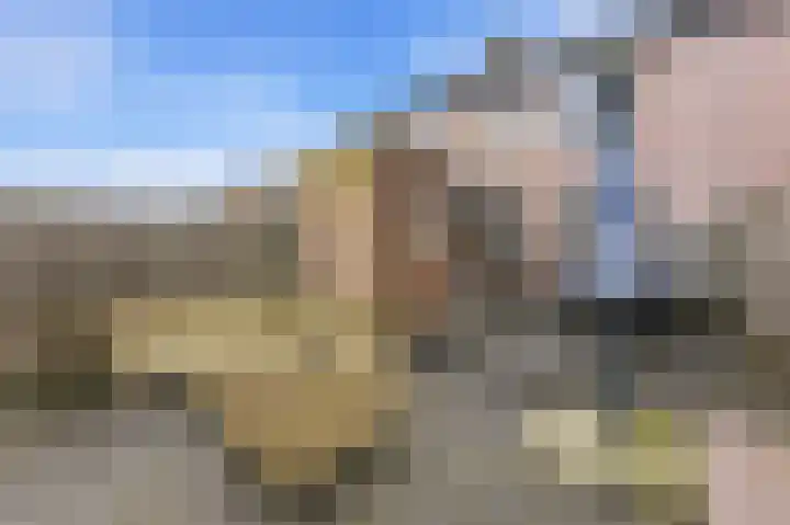 Zwanebloem 29 Alblasserdam thumbnail 35