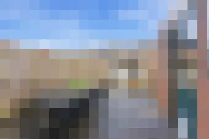 Zwanebloem 29 Alblasserdam thumbnail 36