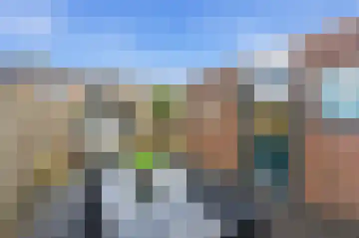 Zwanebloem 29 Alblasserdam thumbnail 37