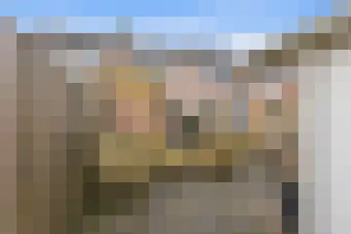 Zwanebloem 29 Alblasserdam thumbnail 39