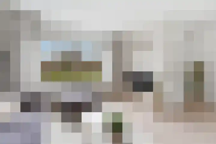 Zwanebloem 29 Alblasserdam thumbnail 4
