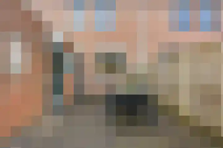 Zwanebloem 29 Alblasserdam thumbnail 40