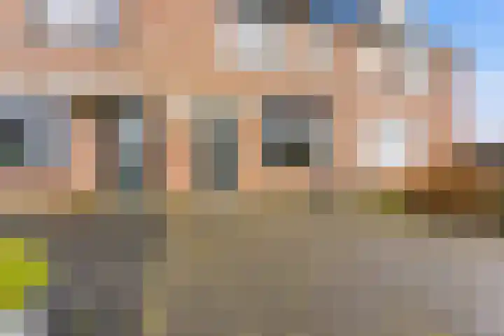 Zwanebloem 29 Alblasserdam thumbnail 41
