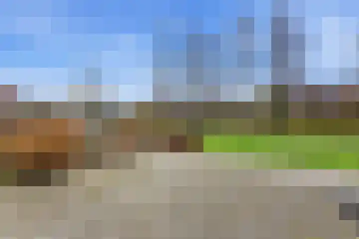 Zwanebloem 29 Alblasserdam thumbnail 42