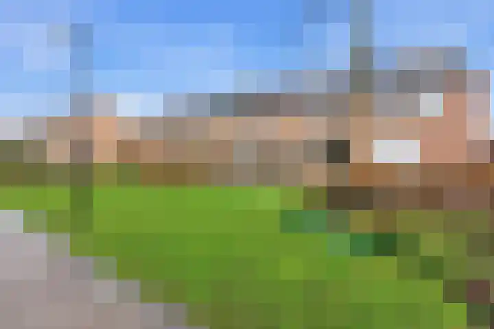 Zwanebloem 29 Alblasserdam thumbnail 43