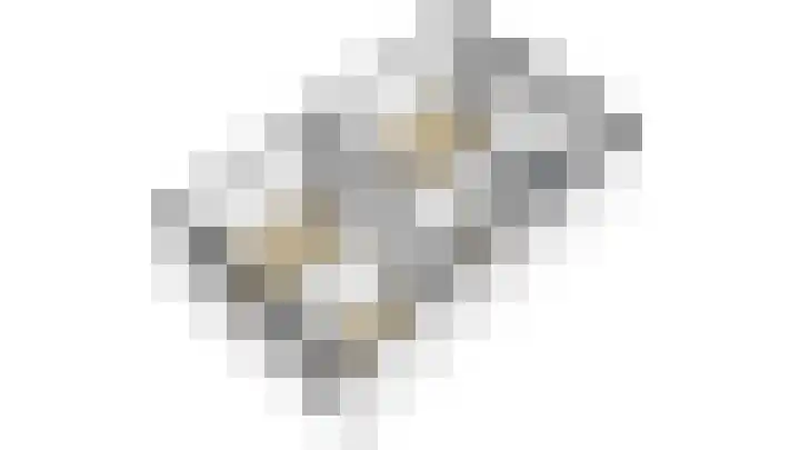 Zwanebloem 29 Alblasserdam thumbnail 47