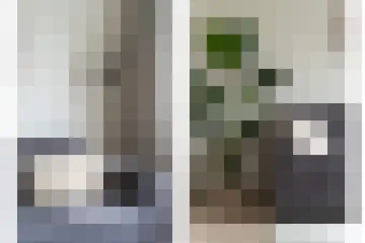 Zwanebloem 29 Alblasserdam thumbnail 5