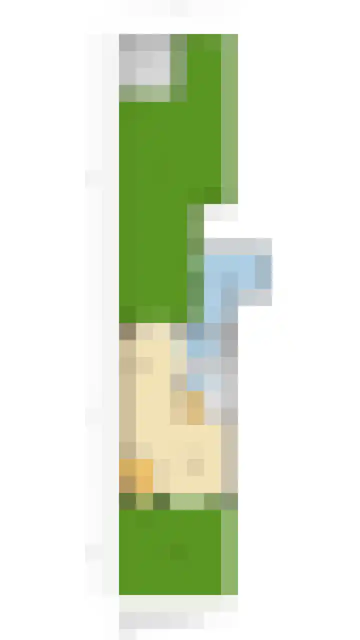 Zwanebloem 29 Alblasserdam thumbnail 52