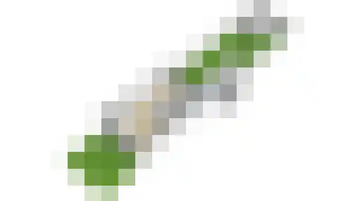 Zwanebloem 29 Alblasserdam thumbnail 53