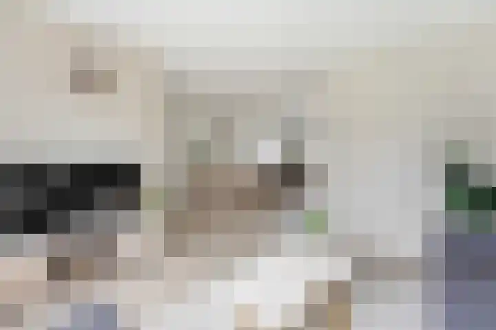 Zwanebloem 29 Alblasserdam thumbnail 7
