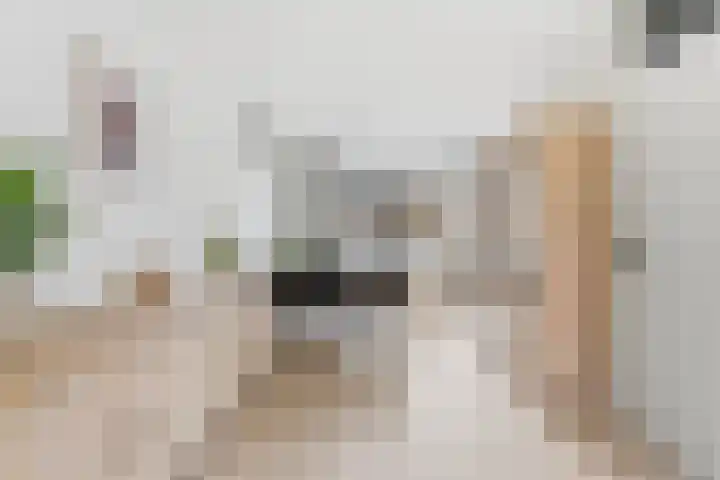 Zwanebloem 29 Alblasserdam thumbnail 9