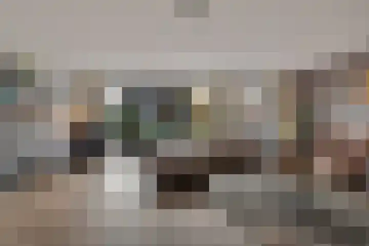 Zwanebloem 3 Woudenberg thumbnail 10