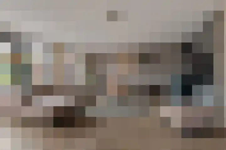 Zwanebloem 3 Woudenberg thumbnail 11