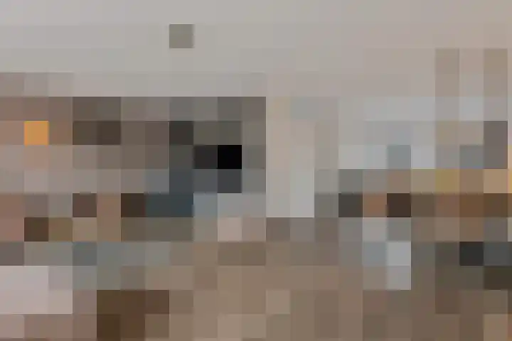 Zwanebloem 3 Woudenberg thumbnail 14