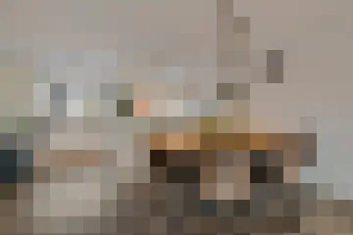 Zwanebloem 3 Woudenberg thumbnail 15