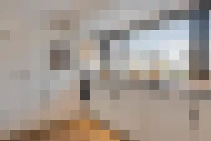 Zwanebloem 3 Woudenberg thumbnail 18