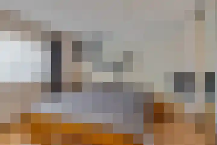 Zwanebloem 3 Woudenberg thumbnail 20