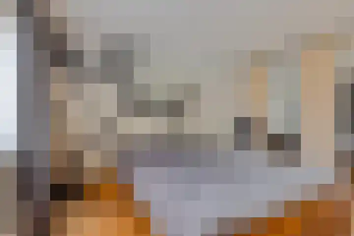 Zwanebloem 3 Woudenberg thumbnail 21