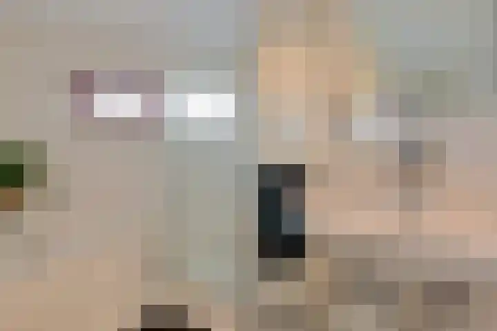 Zwanebloem 3 Woudenberg thumbnail 24