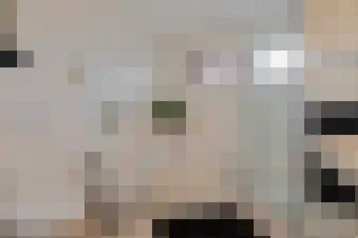 Zwanebloem 3 Woudenberg thumbnail 25