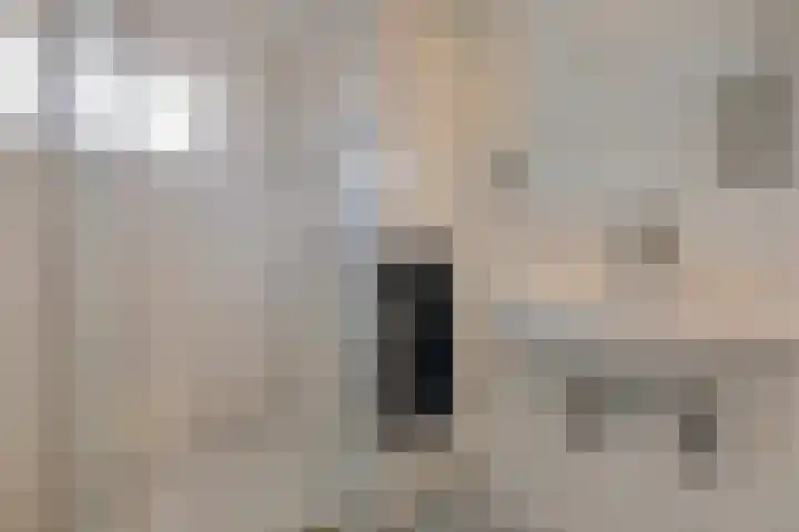 Zwanebloem 3 Woudenberg thumbnail 26