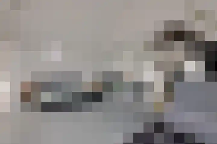 Zwanebloem 3 Woudenberg thumbnail 27