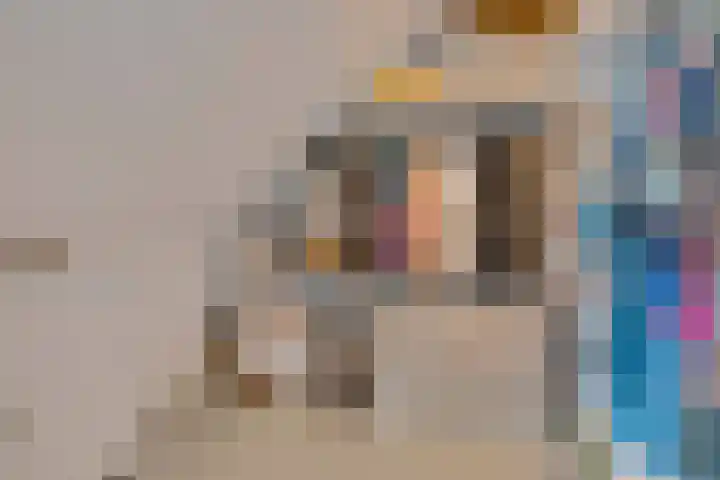 Zwanebloem 3 Woudenberg thumbnail 29