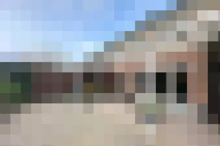 Zwanebloem 3 Woudenberg thumbnail 30